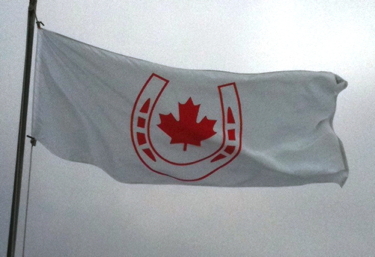 Canadian Equestrian Team flag