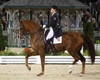 FEI Dressage