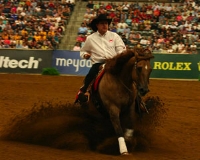 FEI Reining