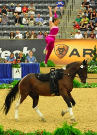 FEI Vaulting