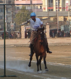 Tent Pegging Ring Jousting