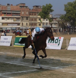 A Successful Strike in the Tent Pegging Lance Discipline