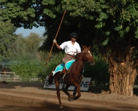 Mounted lance at the 2007 FEI International Tent Pegging Championships