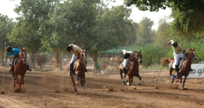 Group Lance with Ground Targets