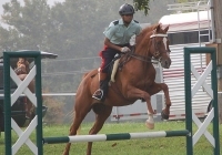 Military field jumping at the NCC