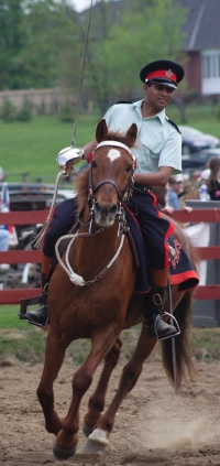 Tent Pegging and Equestrian Skill-at-Arms